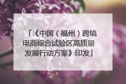 《中国（福州）跨境电商综合试验区高质量发展行动方案》印发