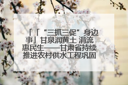 「“三抓三促”身边事」甘泉润黄土 涓流惠民生——甘肃省持续推进农村供水工程巩固提升项目建设