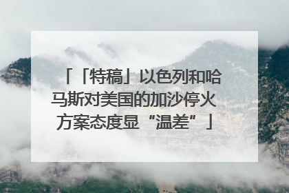 「特稿」以色列和哈马斯对美国的加沙停火方案态度显“温差”