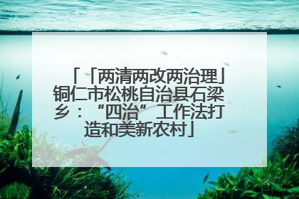 「两清两改两治理」铜仁市松桃自治县石梁乡：“四治”工作法打造和美新农村