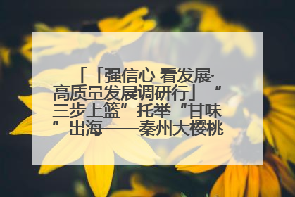 「强信心 看发展·高质量发展调研行」“三步上篮”托举“甘味”出海——秦州大樱桃高质量发展动作分解
