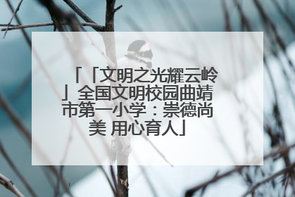 「文明之光耀云岭」全国文明校园曲靖市第一小学：崇德尚美 用心育人
