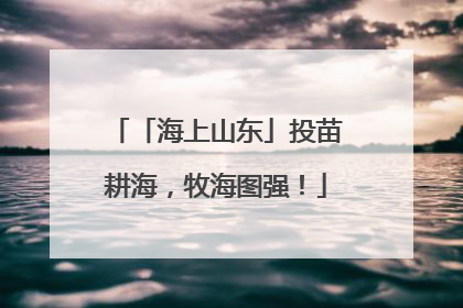 「海上山东」投苗耕海，牧海图强！