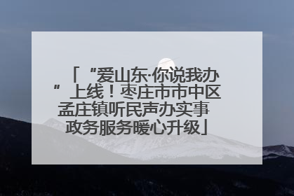 “爱山东·你说我办”上线！枣庄市市中区孟庄镇听民声办实事 政务服务暖心升级