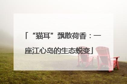 “猫耳”飘散荷香：一座江心岛的生态蜕变