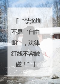 “禁渔期不是‘自由期’，法律红线不容触碰！”