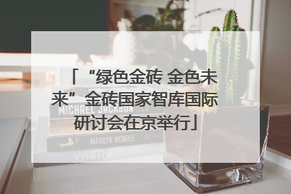 “绿色金砖 金色未来”金砖国家智库国际研讨会在京举行