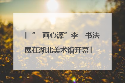 “一画心源”李一书法展在湖北美术馆开幕