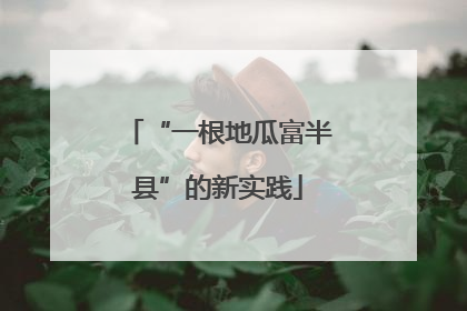 “一根地瓜富半县”的新实践