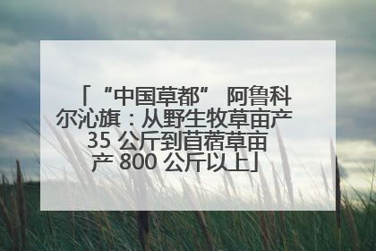 “中国草都” 阿鲁科尔沁旗：从野生牧草亩产 35 公斤到苜蓿草亩产 800 公斤以上