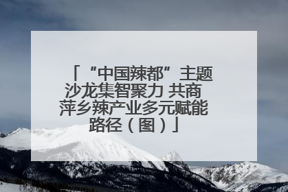 “中国辣都”主题沙龙集智聚力 共商萍乡辣产业多元赋能路径（图）