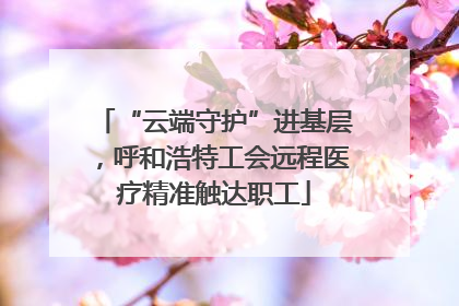 “云端守护”进基层，呼和浩特工会远程医疗精准触达职工