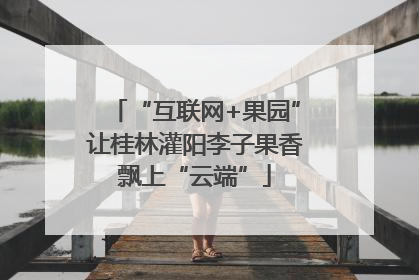 “互联网+果园”让桂林灌阳李子果香飘上“云端”