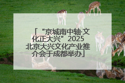 “京城南中轴·文化正大兴”2025北京大兴文化产业推介会于成都举办