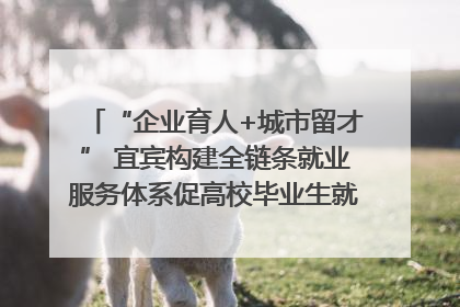 “企业育人+城市留才” 宜宾构建全链条就业服务体系促高校毕业生就业｜您牵挂的四川