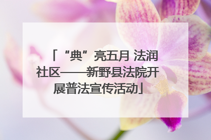 “典”亮五月 法润社区——新野县法院开展普法宣传活动