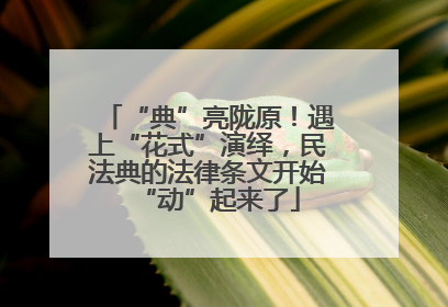 “典”亮陇原！遇上“花式”演绎，民法典的法律条文开始“动”起来了
