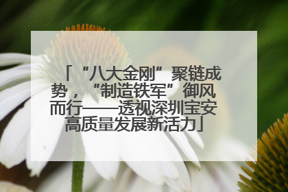 “八大金刚”聚链成势，“制造铁军”御风而行——透视深圳宝安高质量发展新活力