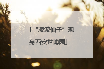 “凌波仙子”现身西安世博园