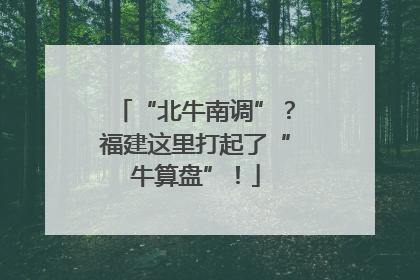 “北牛南调”？福建这里打起了“牛算盘”！