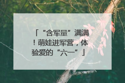 “含军量”满满！萌娃进军营，体验爱的“六一”