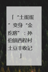 “土蛋蛋”变身“金疙瘩”：孙伯镇西程村土豆丰收记