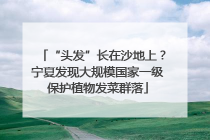 “头发”长在沙地上？宁夏发现大规模国家一级保护植物发菜群落
