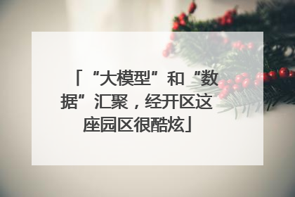 “大模型”和“数据”汇聚，经开区这座园区很酷炫