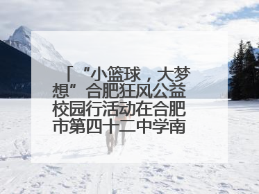 “小篮球，大梦想”合肥狂风公益校园行活动在合肥市第四十二中学南城分校圆满落幕