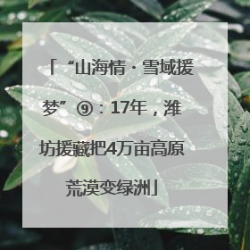 “山海情・雪域援梦”⑨：17年，潍坊援藏把4万亩高原荒漠变绿洲
