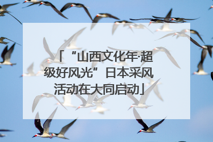 “山西文化年·超级好风光”日本采风活动在大同启动