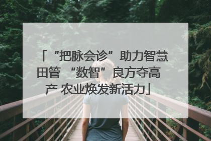 “把脉会诊”助力智慧田管 “数智”良方夺高产 农业焕发新活力