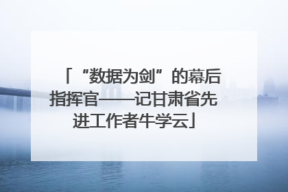 “数据为剑”的幕后指挥官——记甘肃省先进工作者牛学云