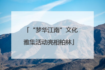 “梦华江南”文化雅集活动亮相柏林