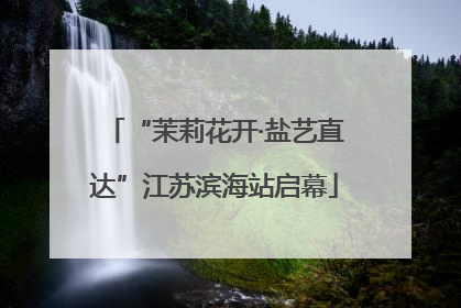“茉莉花开·盐艺直达”江苏滨海站启幕