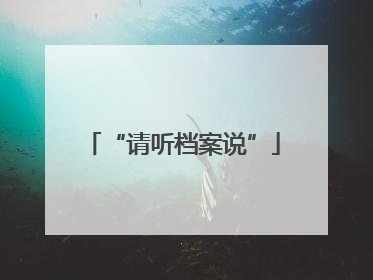 “请听档案说”