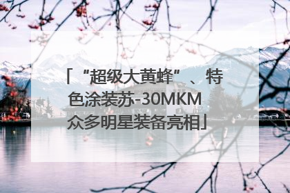 “超级大黄蜂”、特色涂装苏-30MKM 众多明星装备亮相