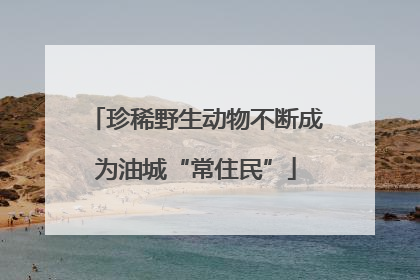珍稀野生动物不断成为油城“常住民”