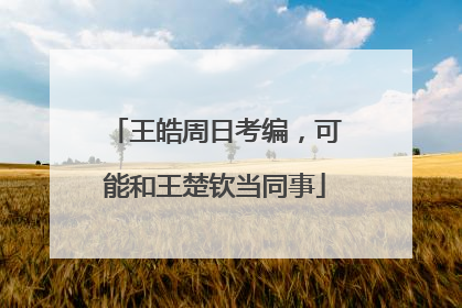 王皓周日考编，可能和王楚钦当同事