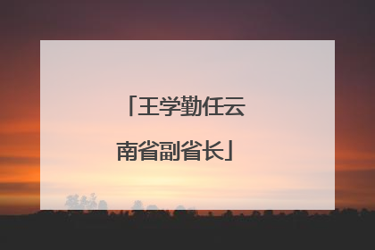 王学勤任云南省副省长