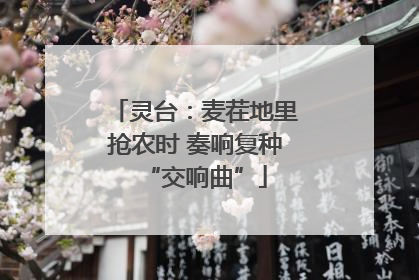 灵台：麦茬地里抢农时 奏响复种“交响曲”