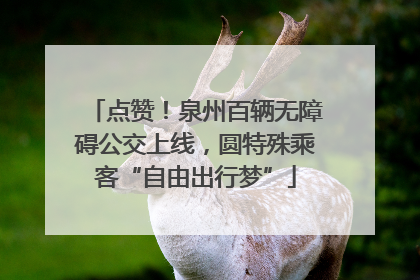点赞！泉州百辆无障碍公交上线，圆特殊乘客“自由出行梦”