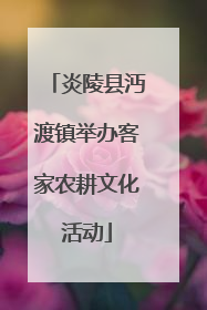 炎陵县沔渡镇举办客家农耕文化活动