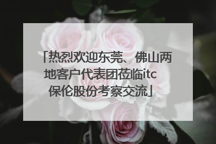 热烈欢迎东莞、佛山两地客户代表团莅临itc保伦股份考察交流