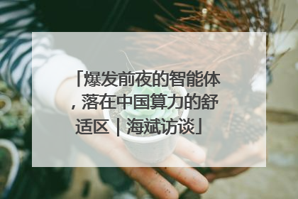 爆发前夜的智能体，落在中国算力的舒适区｜海斌访谈