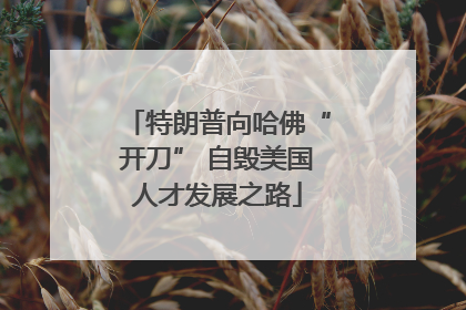 特朗普向哈佛“开刀” 自毁美国人才发展之路