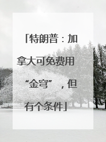 特朗普：加拿大可免费用“金穹”，但有个条件