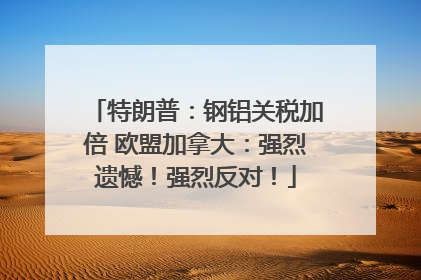 特朗普：钢铝关税加倍 欧盟加拿大：强烈遗憾！强烈反对！