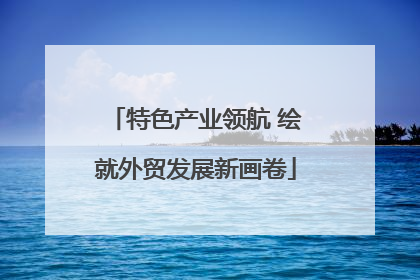 特色产业领航 绘就外贸发展新画卷