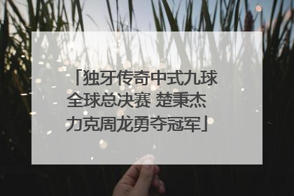 独牙传奇中式九球全球总决赛 楚秉杰力克周龙勇夺冠军